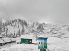 
      
      J-K: Gulmarg turns into white wonderland after fresh spell of sno
      
      