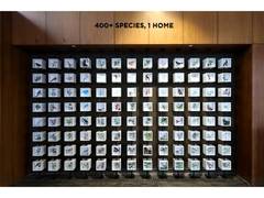 
      
      Shapoorji Pallonji Real Estate Unveils the 'Coexistence
      
      