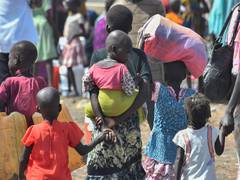
      
      UAE supports efforts to implement humanitarian truce
      
      