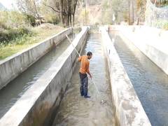 
      
      Tanvir Ahmad's fish farming solution meets growing demnd in J-K
      
      