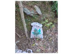 
      
      Security forces thwart narcotics smuggling attempt in Tangdhar
      
      