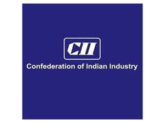 
      
      CII proposes India Development and Strategic Fund
      
      