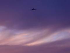 
      
      Over 1,700 flights cancelled across US amid FAA staffing crisis, 
      
      