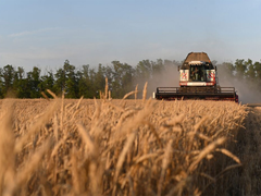 
      
      Pakistan’s agriculture sliding into crisis amid policy neglect
      
      
