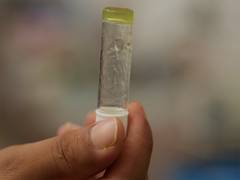 
      
      IIT Guwahati develops material to detect fuel adulteration
      
      