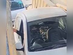 
      
      Terrorist Dr Umar caught on CCTV entering national capital
      
      
