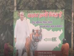 
      
      Tiger abhi zinda hai: Nitish Kumar gears up for verdict in Bihar
      
      
