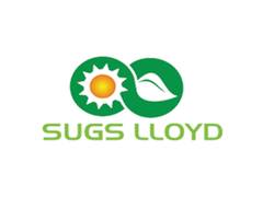 
      
      Sugs Lloyd Limited Reports 91% Growth in EBITDA and 94% Growth
      
      