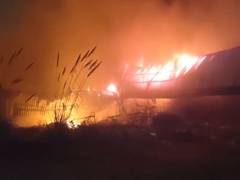 
      
      Massive fire breaks out in Basai village in Gurugram
      
      