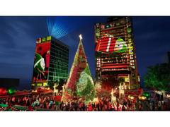
      
      Hong Kong Transforms into a Winter Wonderland 
      
      
