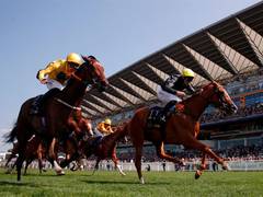 
      
      Sharjah racecourse season to open on Sunday
      
      