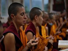 
      
      Bhutan begins second historic Bhikkhuni Ordination, over 260 nuns
      
      