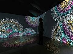 
      
      'Songlines: Tracking the Seven Sisters' exhibition comes to India
      
      