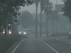 
      
      Delhi wakes up to toxic smog, AQI at 392 in 'very poor' category
      
      