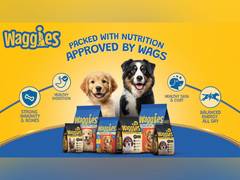 
      
      Reliance Consumer Products enters petcare market
      
      