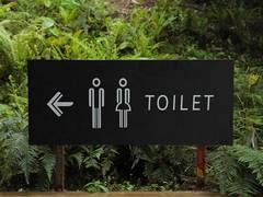 
      
      Ministry of Jal Shakti launches toilet awareness campaign
      
      