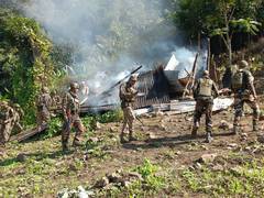 
      
      Assam rifles destroys illicit poppy cultivation in Songlung
      
      