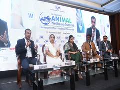 
      
      CII Summit Sounds Clarion Call for Dedicated Petfood Regulations
      
      