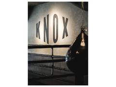 
      
      Trehan Iris Partners with Knox to Introduce a New Era of Wellness
      
      