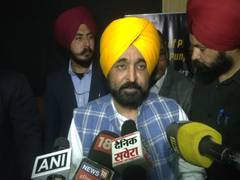
      
      Punjab CM Bhagwant Mann vows tough action against lawbreakers
      
      