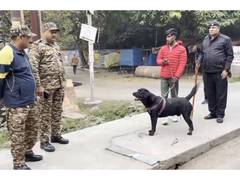 
      
      Lucknow cracks down on unlicensed dog walkers in Indira Nagar
      
      