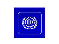 
      
      International organisations welcome India’s Labour Codes
      
      