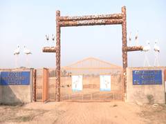 
      
      Foreign Migratory Birds Return to Sambhar Lake,
      
      