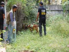 
      
      Leopard sighted in Pune’s Aundh residential area
      
      