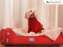
      
      HUFT’s Winter Collection Is Here to Make Life Magical for Pets 
      
      