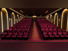 
      
      Citara Plex is thrilled to announce the revival of Shyam Talkies
      
      