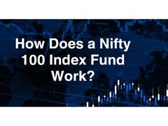 
      
      How Does a Nifty 100 Index Fund Work?   
      
      