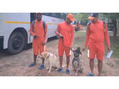 
      
      NDRF deployed across Tamil Nadu for precautionary operations
      
      