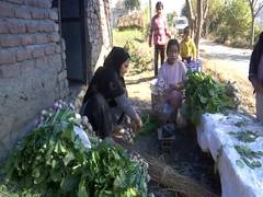 
      
      J-K: 50 families adopt organic farming in Rajouri’s Mehra village
      
      