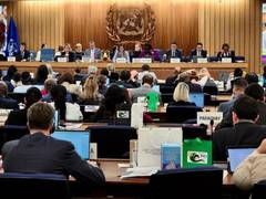 
      
      India re-elected to IMO Council for 2026-27
      
      