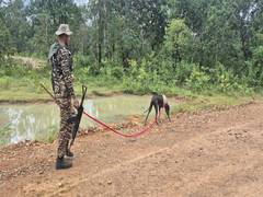 
      
      Special Zonal Committee member Vikas Nagpure, 11 others surrender
      
      