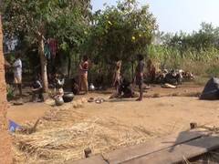 
      
      Tribal family in Mayurbhanj struggles to survive
      
      