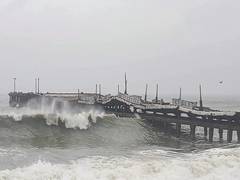 
      
      Air India issues travel advisory for Cyclone Ditwah
      
      