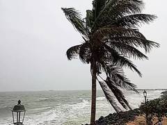 
      
      Chennai Airport cancels 47 flights for tomorrow due to cyclone
      
      