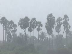 
      
      IMD issues yellow alert across various districts of Tamil Nadu
      
      