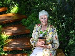 
      
      Judi Dench details worsening eyesight due to macular degeneration
      
      