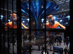 
      
      India-Russia Gaming Industry Cooperation Deepens 
      
      