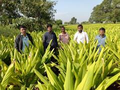 
      
      Transworld Furtichem’s New Research Reveals Severe Monsoon Impact
      
      