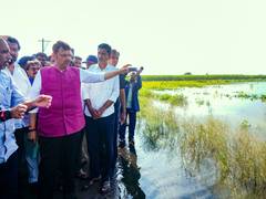 
      
      Maharashtra govt seeks NDRF funds
      
      