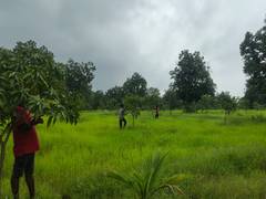 
      
      Naxal-hit Sukma scripting new chapter of progress through ‘Aam Ba
      
      