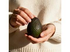 
      
      Adding Avocados to Your Diet is the Ultimate Cold-Weather Hack
      
      