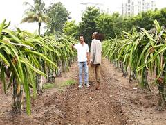 
      
       India, Israel sign agreement to boost sustainable agricultural t
      
      