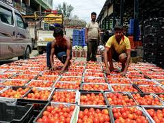 
      
      Costs of veg, non-veg thalis dip 13% in Nov 
      
      