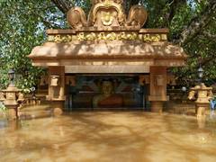 
      
      Sri Lanka:Over 750 religious places damaged due to Cyclone Ditwah
      
      