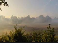 
      
      Majuli wrapped in winter fog, offering mesmerising morning views
      
      