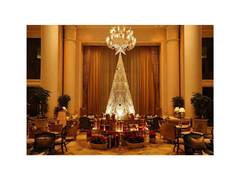 
      
      The Leela Unveils Mirrors Of Hope: Lippan Art Christmas Trees
      
      